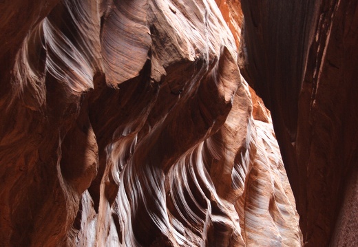 Jeffs Paria Canyon 2010 275